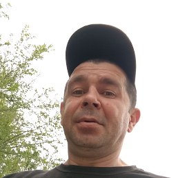 , 42, 