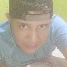 Hugo, ��������, 43 ����