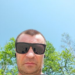 ������, 43 ����, ���������