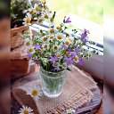 ���� ���������, ���������� - ��������� 8 ���� 2024