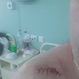 ���� ������, �����-���������, 41 ��� - ��������� 8 ������ 2024