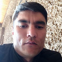 ����, �����-���������, 36 ���