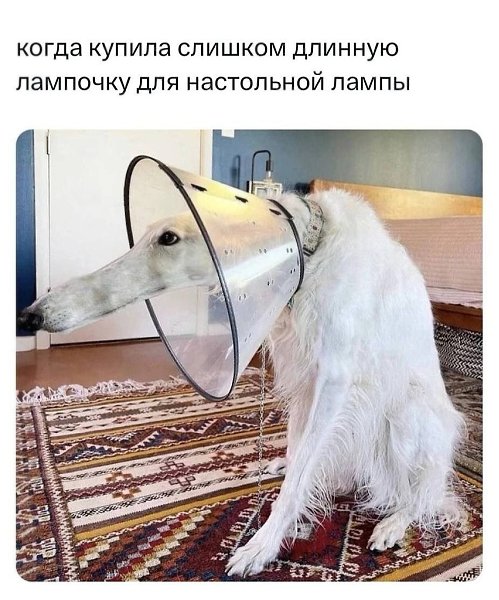  - 22  2025  01:02