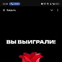 ���� ���������, ����������, 34 ���� - ��������� 4 ������� 2025 � ������ ���� ����������