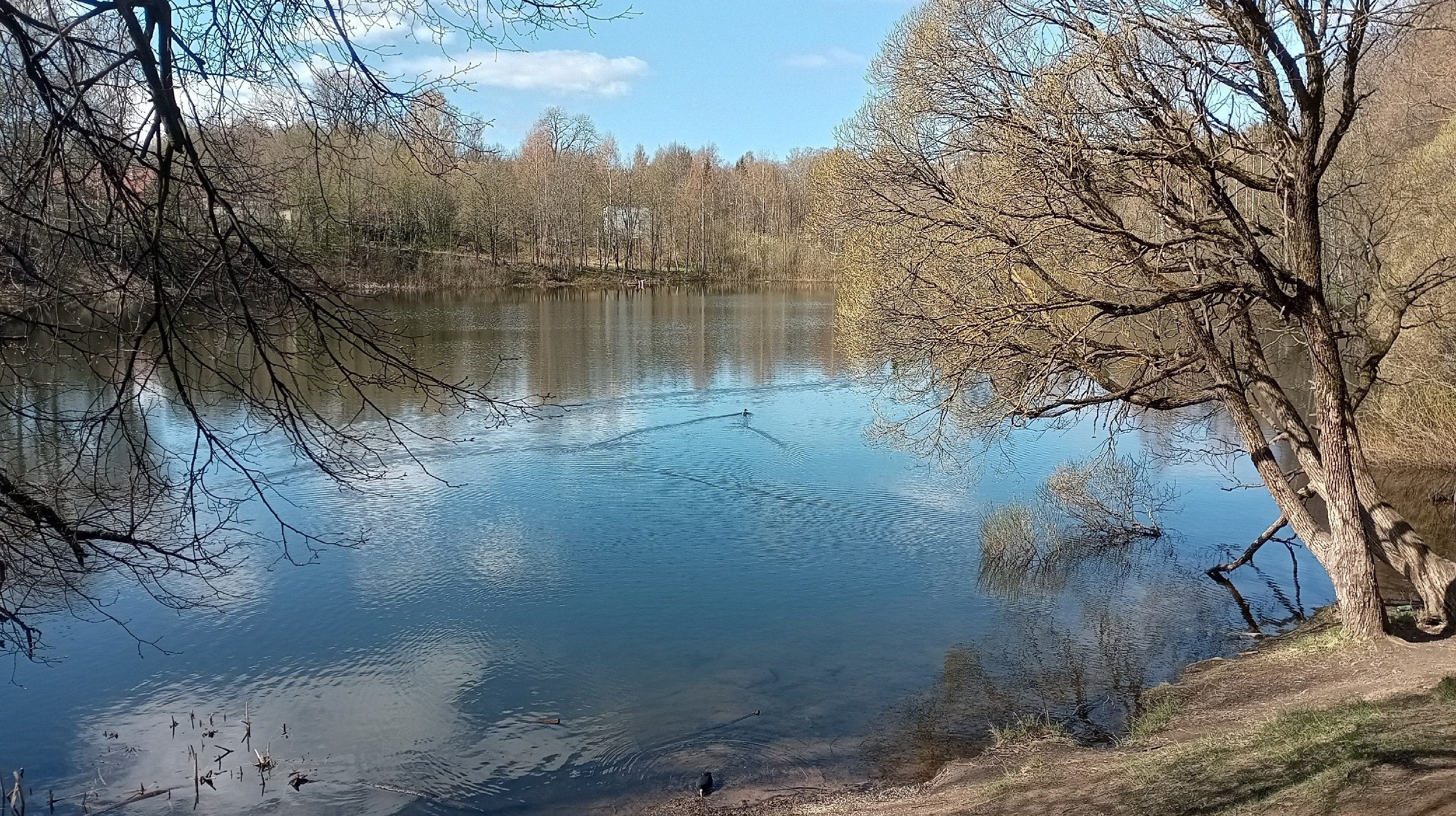   - 1  2025  13:39 - 9