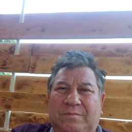 , 61, 