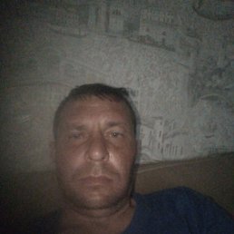 , 40, 