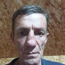 , 55, 