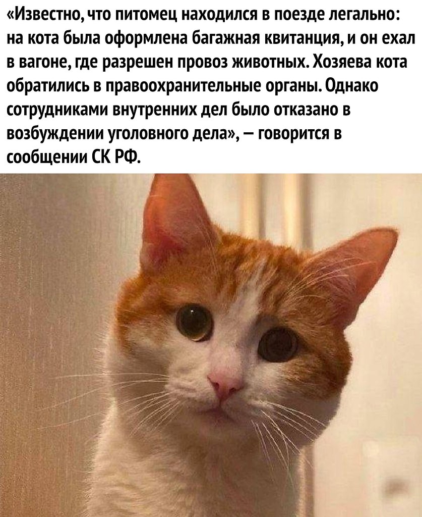   - 2