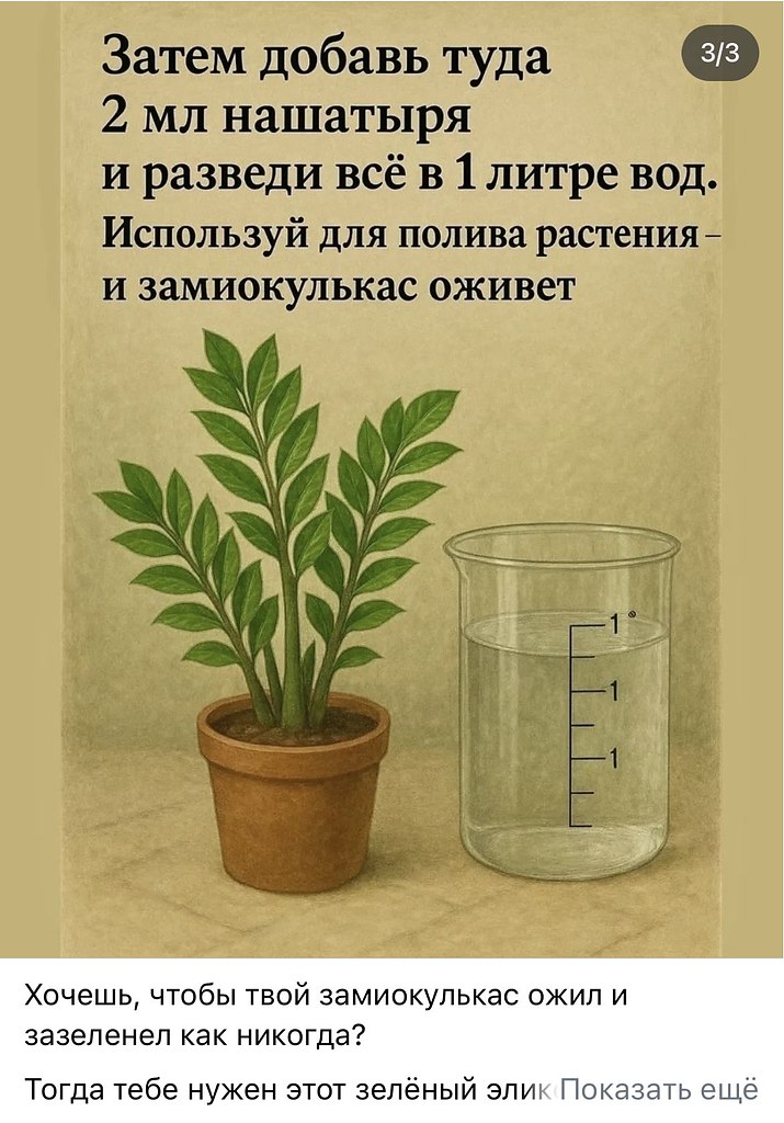 ���� ���������� - 5 ������ 2026 � 13:11 - 3