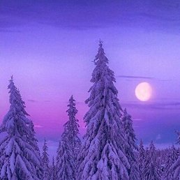 ������, �����, 48 ���