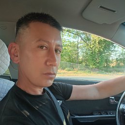 , 37, 