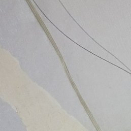 �����, ������, 49 ���