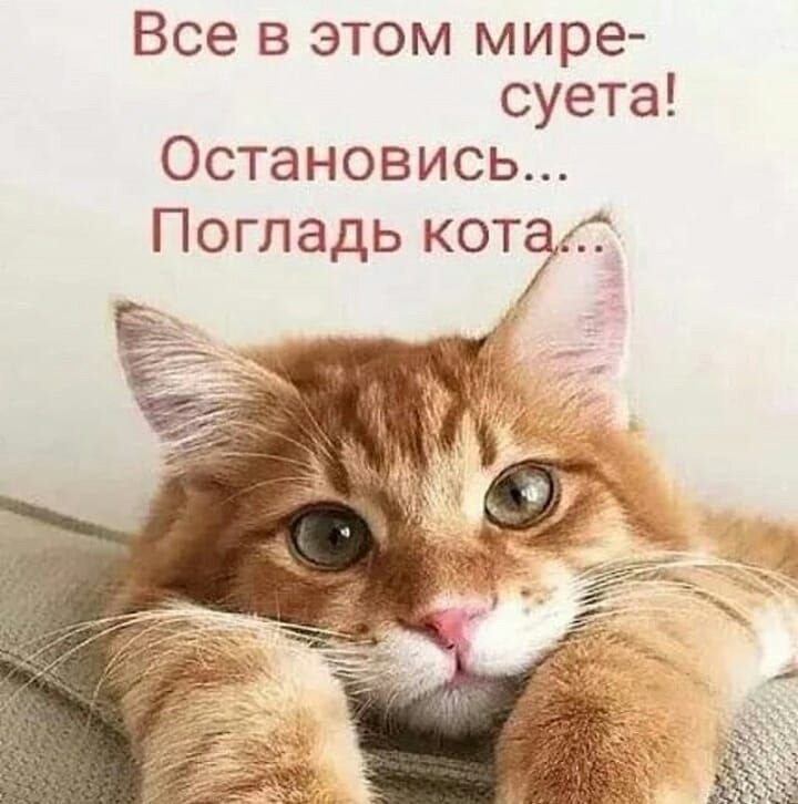  - 26  2024  19:48