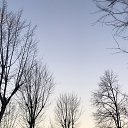 ���� �������, ������, 46 ��� - ��������� 3 ������� 2026 � ������ ������ ��������