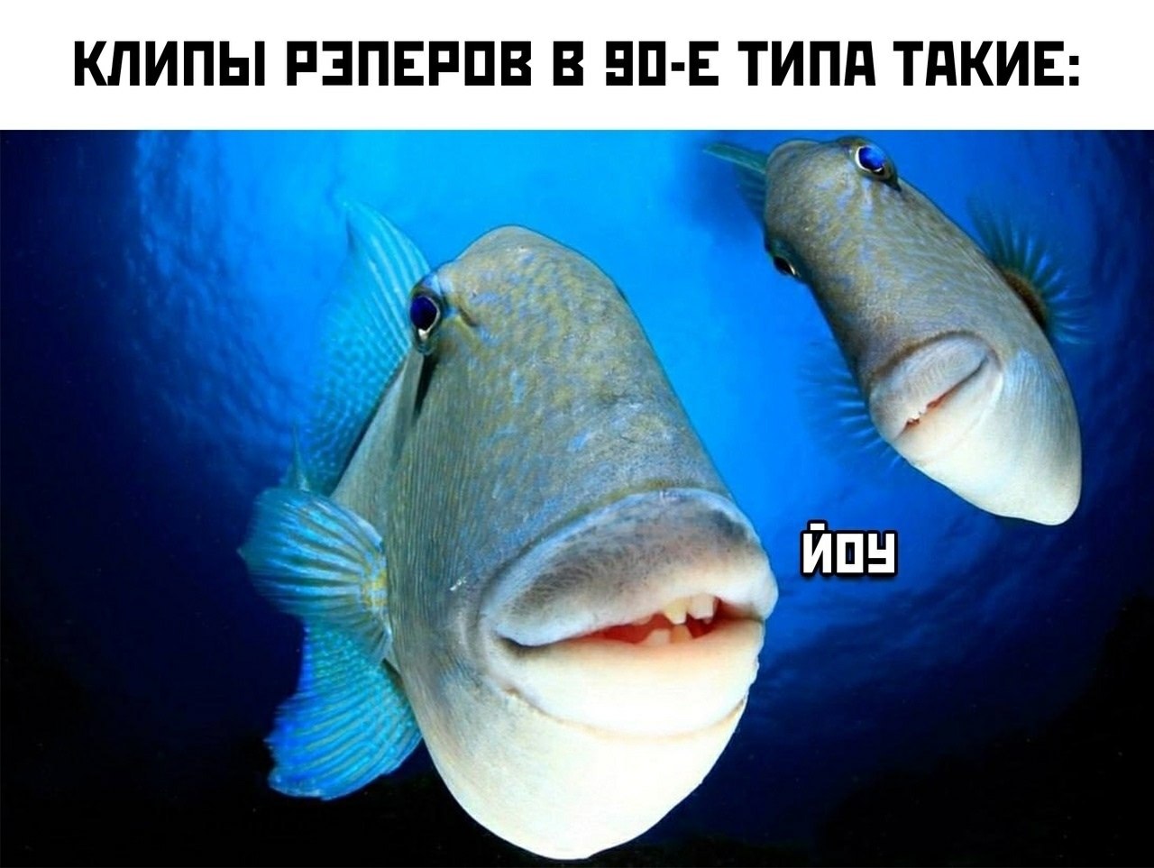  - 30  2025  08:46