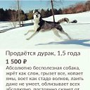 ���� �����, �����������, 44 ���� - ��������� 26 ������ 2025 � ������ ���� ����������