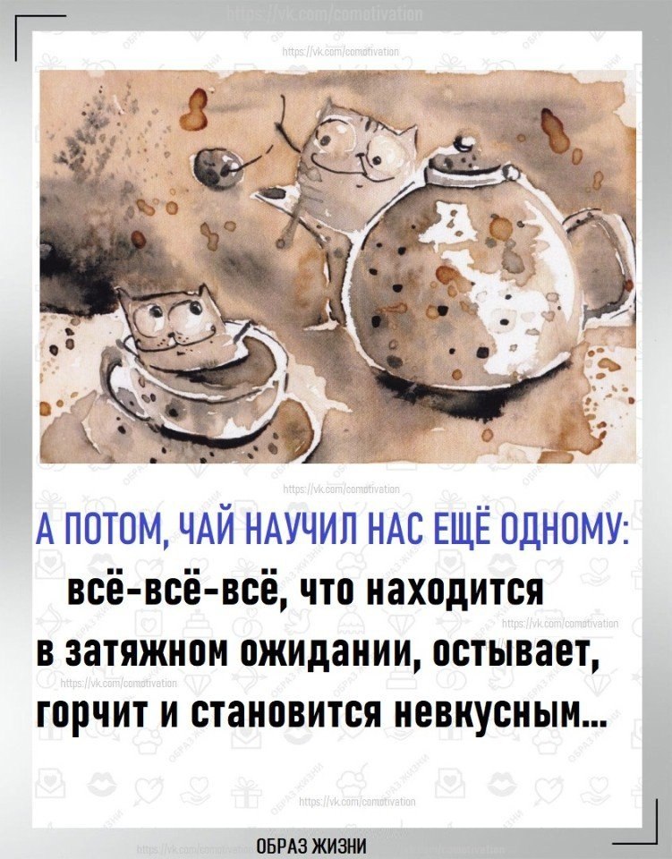 Co-Motivation.... . - 31  2025  18:23