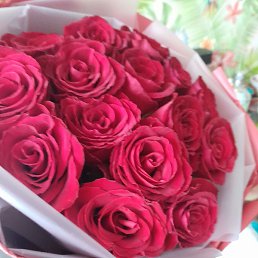 ��������, ������, 41 ���