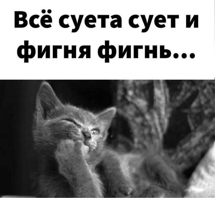 , !