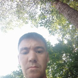 , 31, 
