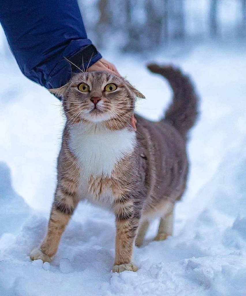   .     - 2