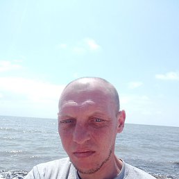 ���� �������, ������, 40 ���