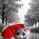  , , 104  -  22  2025    