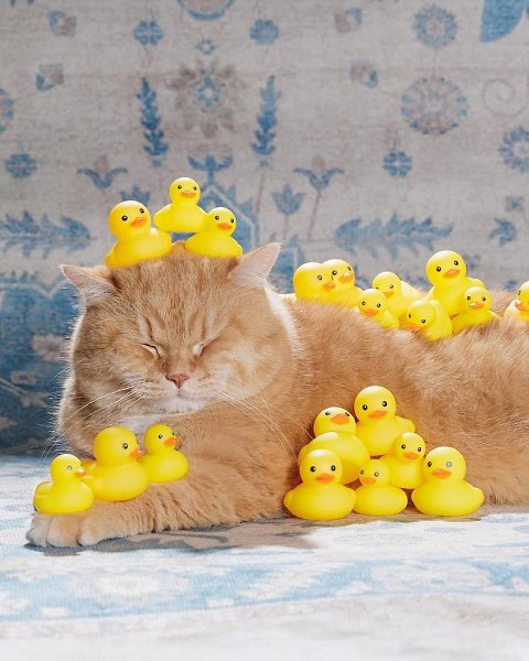 ����� � ��� ����� ������ - 8