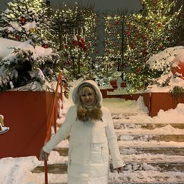 ���, ����, 65 ���