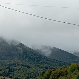 �������, ����, 51 ���