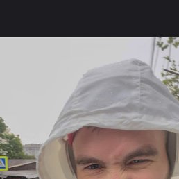, 29, 