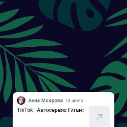 ����, ������, 46 ���