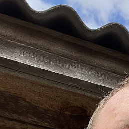 ��������, �����������, 23 ����