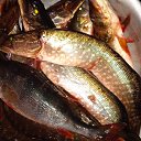 ���� �����, ��������� - ��������� 6 ������ 2024 � ������ ���� ����������