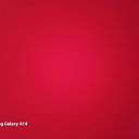 ���� Shokki, ������, 24 ���� - ��������� 5 ������ 2023 � ������ ���� ����������