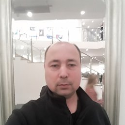 ������, 39 ���, ���������