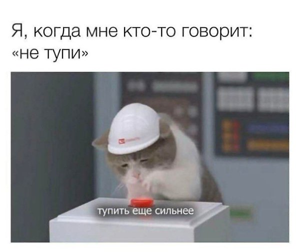    - 19  2024  23:25