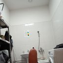 ���� ����, �����������, 50 ��� - ��������� 21 ������� 2024