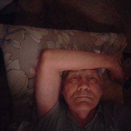 , 43 , 