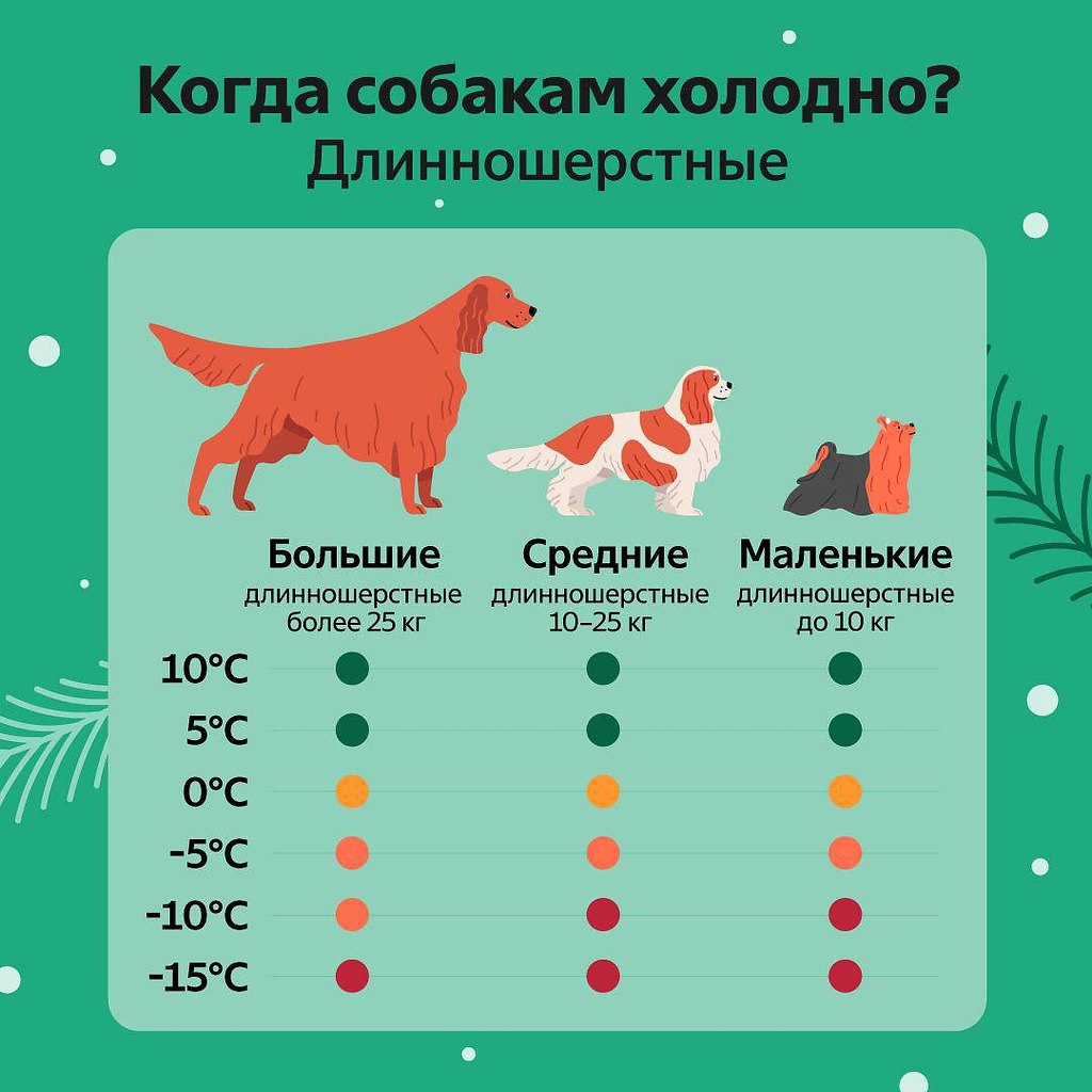 ОБО ВСЕМ - 12 октября 2025 в 15:16