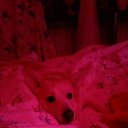  ,   -  23  2024    . -. 