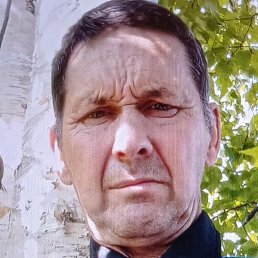 ������, �����������, 62 ����