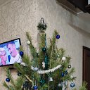 ���� �������, ���������, 49 ��� - ��������� 6 ����� 2025 � ������ ���� ����������