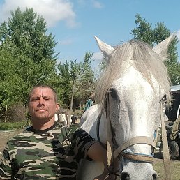 , 35, 