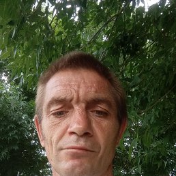 �������, 48 ���, ���������