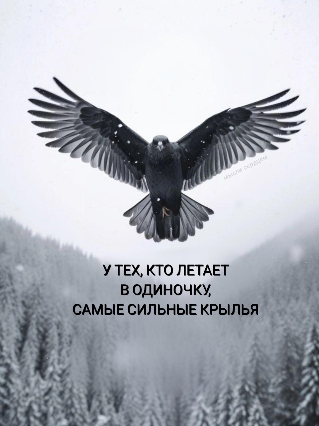  - 22  2025  06:04
