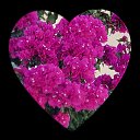 ���� �������, �����-�������� - ��������� 12 �������� 2024 � ������ ���� ����������