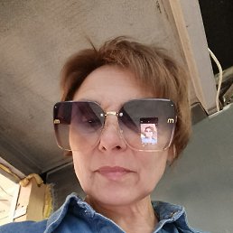 ���� ��������, ������, 54 ���� - ��������� 15 ���� 2026
