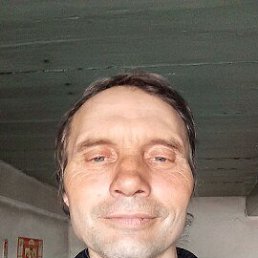 , 53 , 